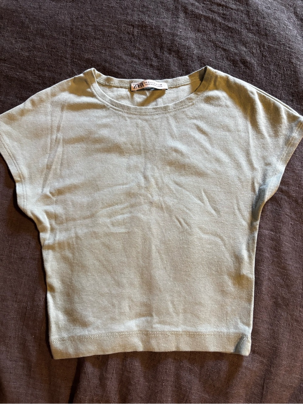 Zara Cropped Boxy Tee | Size S | Sage Green Short Sleeve Casual Top